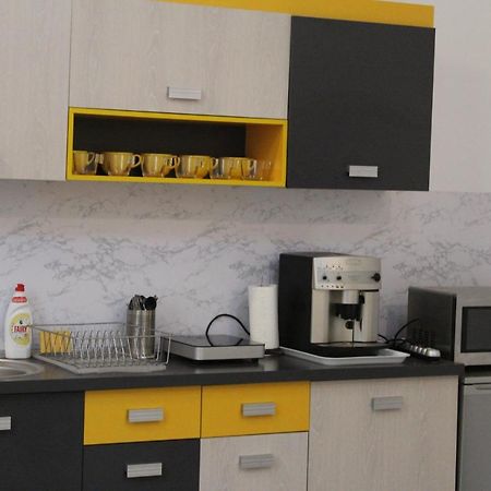 Viky Apartment Satu Mare Exterior foto