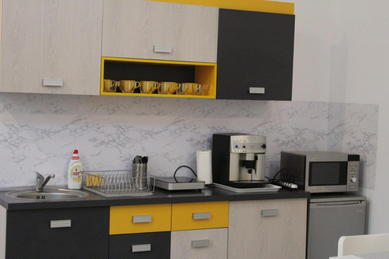 Viky Apartment Satu Mare Exterior foto