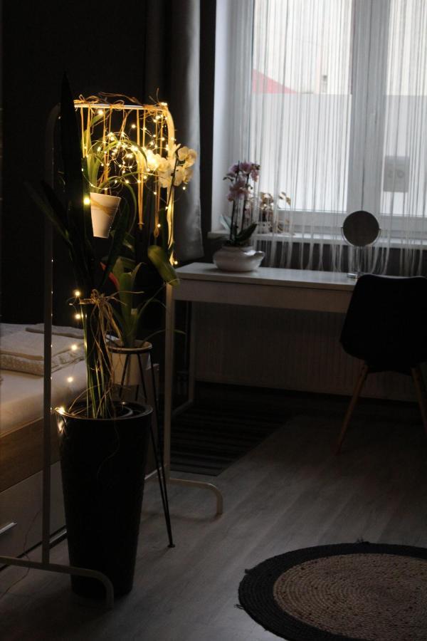 Viky Apartment Satu Mare Exterior foto