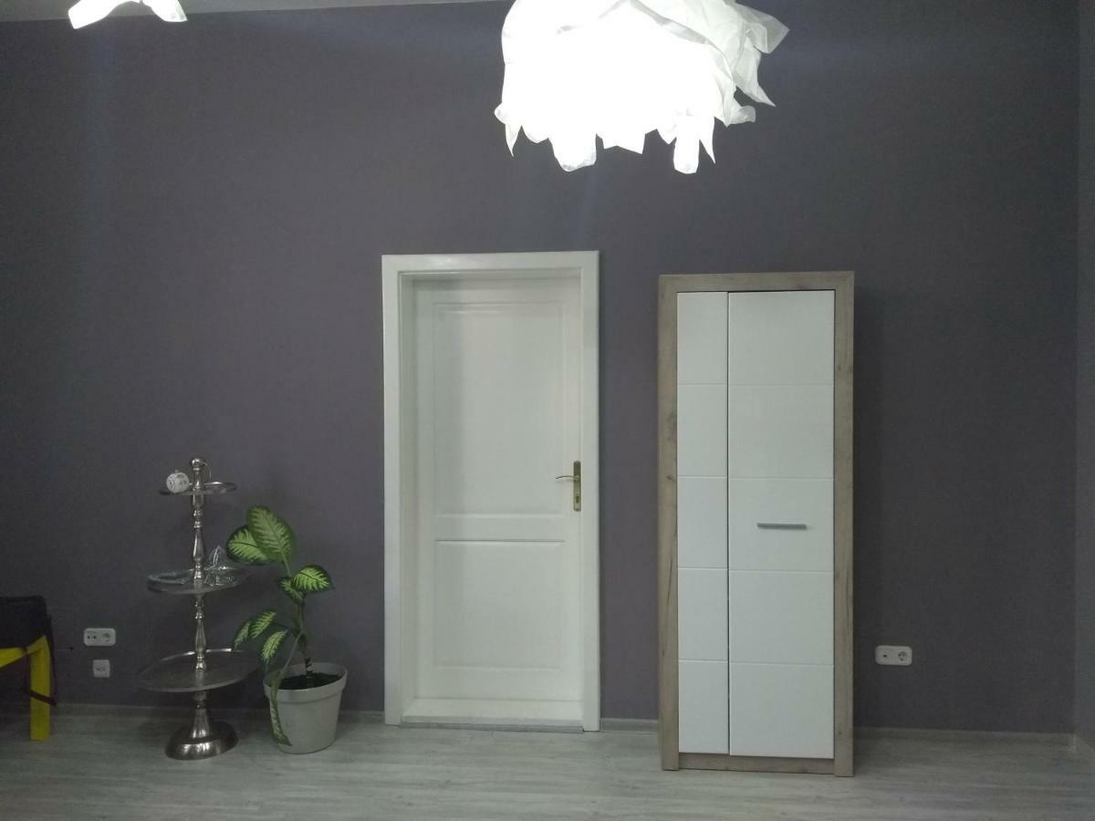 Viky Apartment Satu Mare Exterior foto